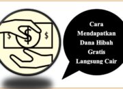 Cara Mendapatkan Dana Hibah Gratis Langsung Cair