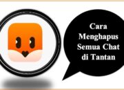 Cara Menghapus Semua Chat di Tantan