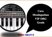 Cara Mendapatkan VIP ORG 2024/2025 Gratis