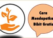 Cara Mendapatkan Bibit Gratis