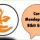 Cara Mendapatkan Bibit Gratis