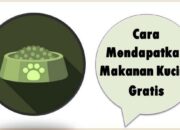 Cara Mendapatkan Makanan Kucing Gratis