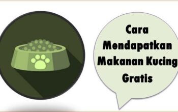 Cara Mendapatkan Makanan Kucing Gratis