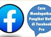 Cara Mendapatkan Pengikut Netto di Facebook Pro