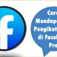 Cara Mendapatkan Pengikut Netto di Facebook Pro