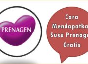 Cara Mendapatkan Susu Prenagen Gratis