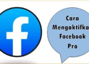 Cara Mengaktifkan Facebook Pro