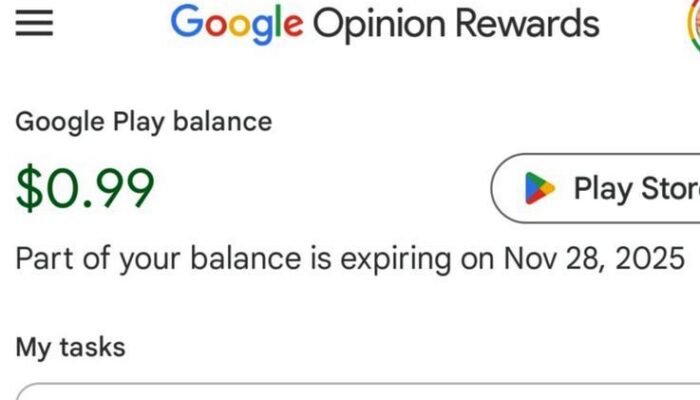 Google Opinion Rewards