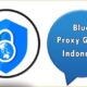 Blue Proxy Gratis Indonesia