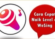Cara Cepat Naik Level di WeSing
