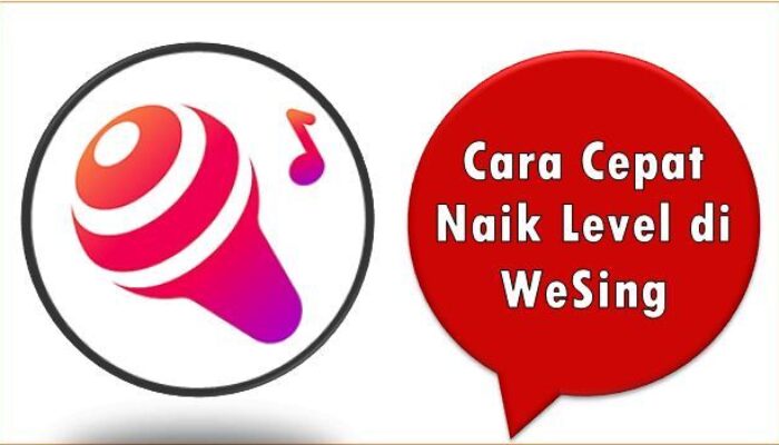 Cara Cepat Naik Level di WeSing