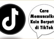 Cara Memunculkan Koin Berputar di TikTok