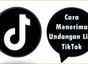 Cara Menerima Undangan Live TikTok