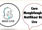 Cara Menghilangkan Notifikasi Bigo Live