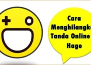 Cara Menghilangkan Tanda Online di Hago