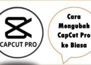 Cara Mengubah CapCut Pro ke Biasa