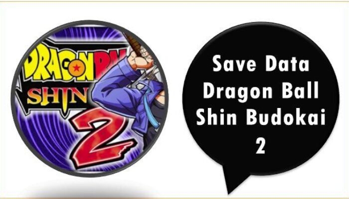 Save Data Dragon Ball Shin Budokai 2