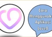 Cara Menggunakan Aplikasi Love8