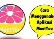 Cara Menggunakan Aplikasi MeetYou