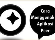 Cara Menggunakan Aplikasi Peer