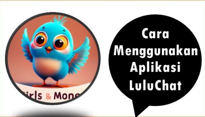 Cara Menggunakan Aplikasi LuluChat