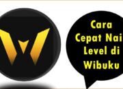 Cara Cepat Naik Level di Wibuku
