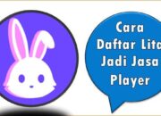 Cara Daftar Lita Jadi Jasa Player