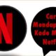 Cara Mendapatkan Kode Masuk Netflix