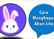 Cara Menghapus Akun Lita