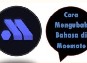 Cara Mengubah Bahasa di Moemate