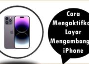 Cara Mengaktifkan Layar Mengambang di iPhone
