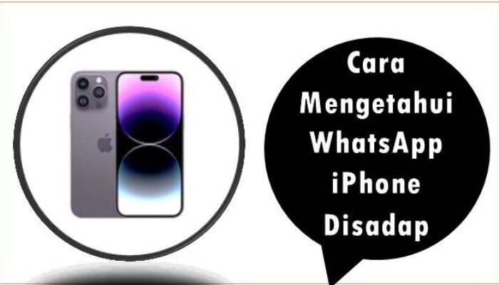 Cara Mengetahui WhatsApp iPhone Disadap