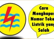 Cara Menghapus Nomor Token Listrik yang Salah