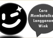 Cara Membatalkan Langganan Wink