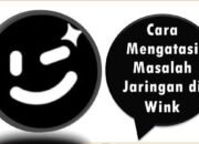 Cara Mengatasi Masalah Jaringan di Aplikasi Wink