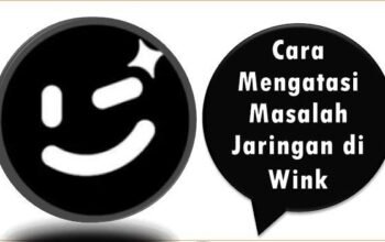 Cara Mengatasi Masalah Jaringan di Aplikasi Wink