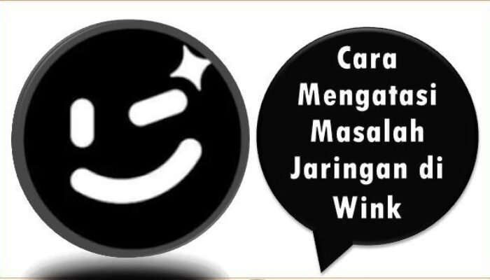 Cara Mengatasi Masalah Jaringan di Aplikasi Wink