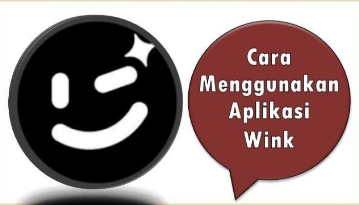 Cara Menggunakan Aplikasi Wink