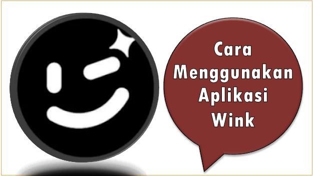 Cara Menggunakan Aplikasi Wink
