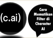 Cara Mematikan Filter di Character AI