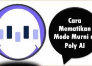 Cara Mematikan Mode Murni di Poly AI