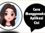 Cara Menggunakan Aplikasi Cici