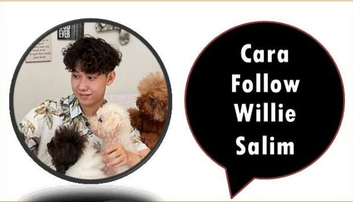 Cara Follow Willie Salim