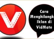 Cara Menghilangkan Iklan di VidMate