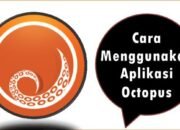 Cara Menggunakan Aplikasi Octopus