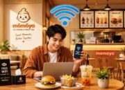 Password WiFi Momoyo